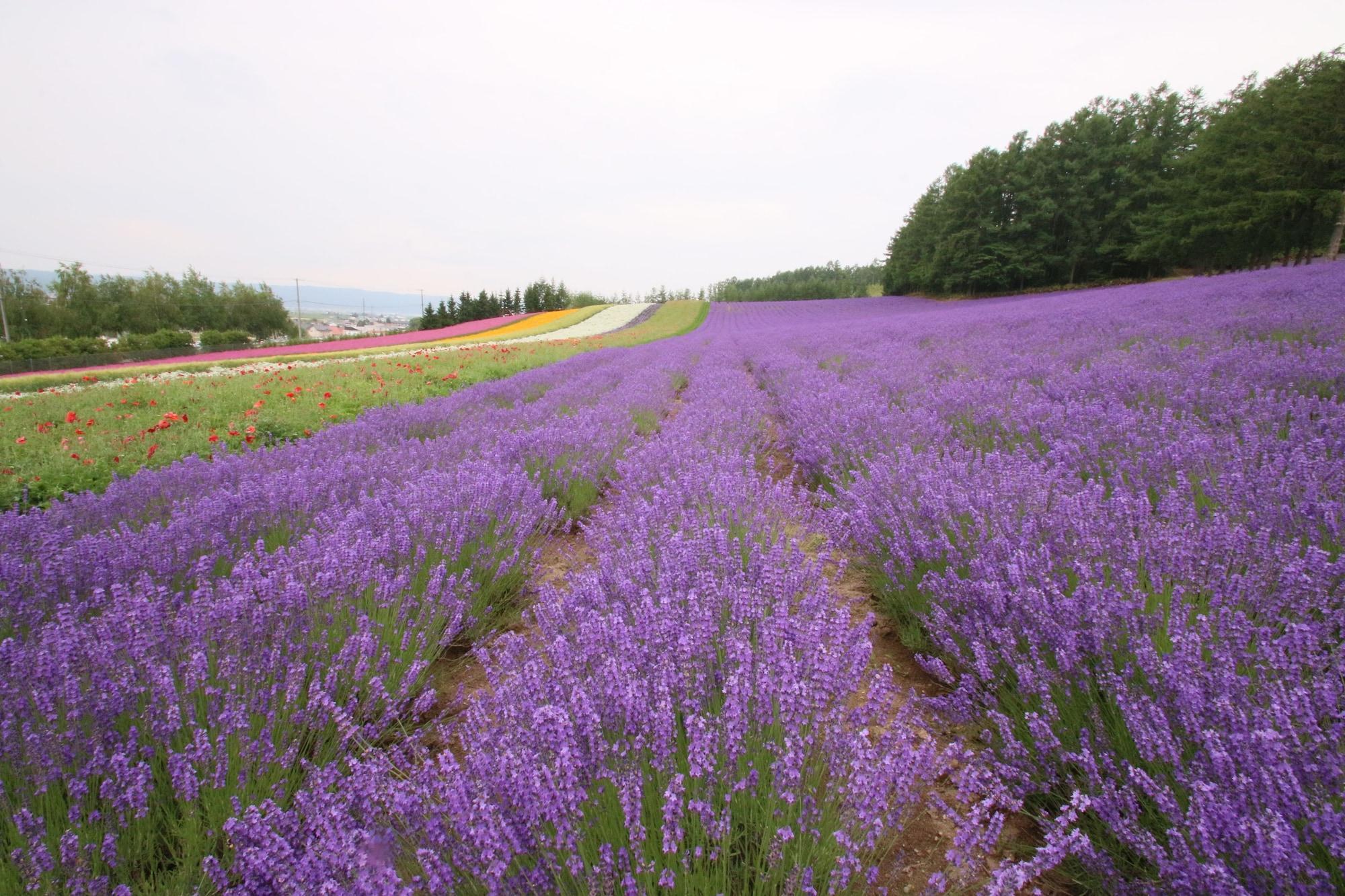 Furano Shiyuirin Hotel Kamifurano Luaran gambar