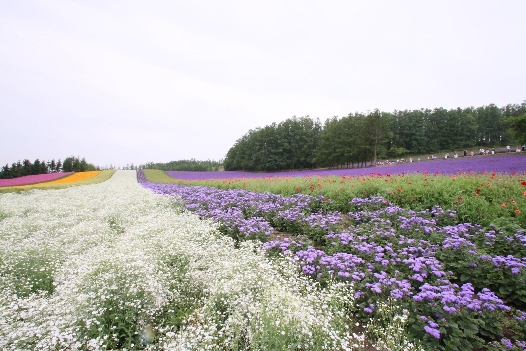 Furano Shiyuirin Hotel Kamifurano Luaran gambar