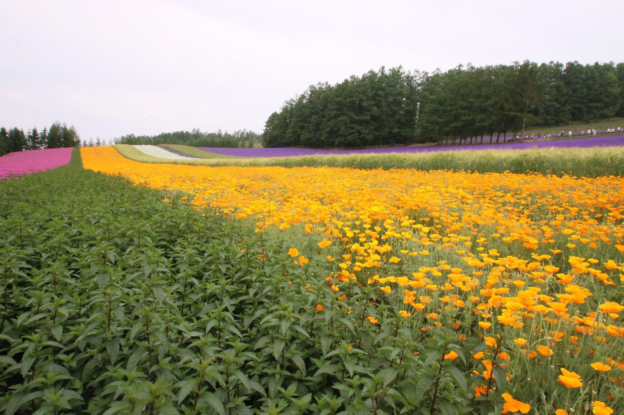 Furano Shiyuirin Hotel Kamifurano Luaran gambar