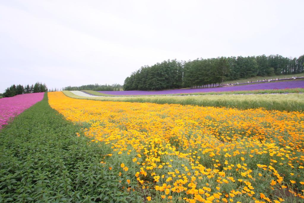 Furano Shiyuirin Hotel Kamifurano Luaran gambar